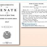Excerpt from New York State Senate Documents - Board of Child Welfare (1917)
